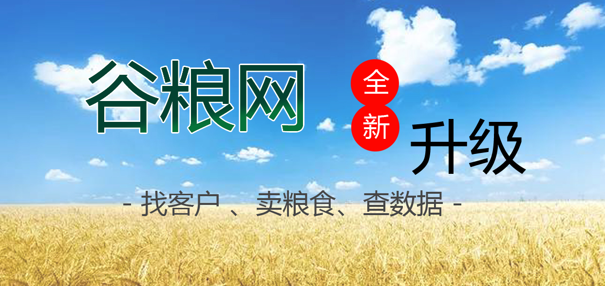 谷糧網(wǎng)全新升級(jí)改版