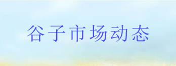谷糧商務(wù)信息網(wǎng)